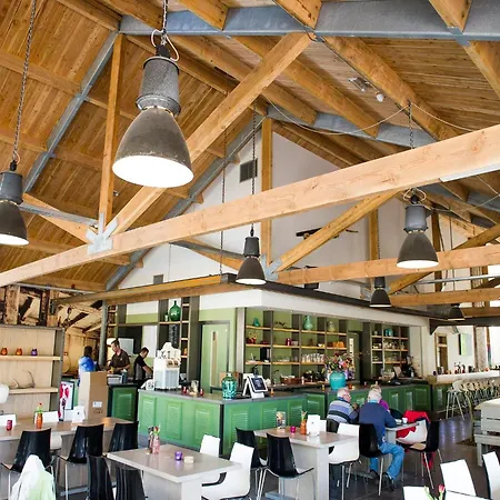 Chalet Modern Near De Veluwe National Park Otterlo