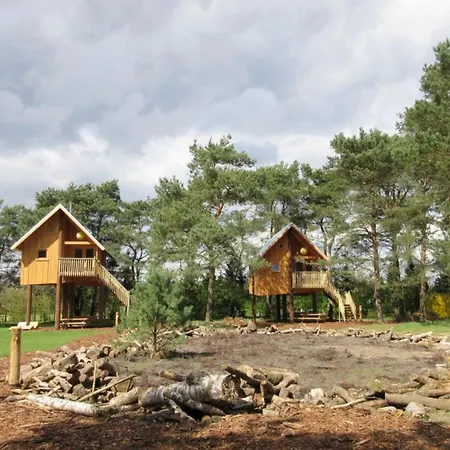 Chalet Modern Near De Veluwe National Park