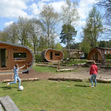 Chalet Modern Near De Veluwe National Park *